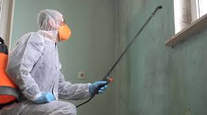 Best Forensic Mold Investigation  in Lebanon, IL