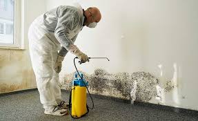 Best Mold Remediation for Rental Properties  in Lebanon, IL