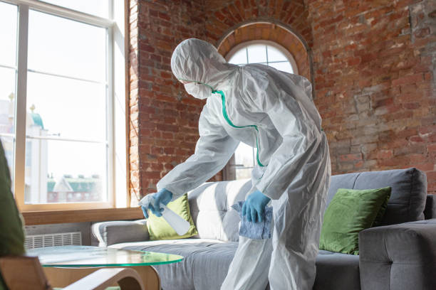 Best Industrial Mold Remediation  in Lebanon, IL